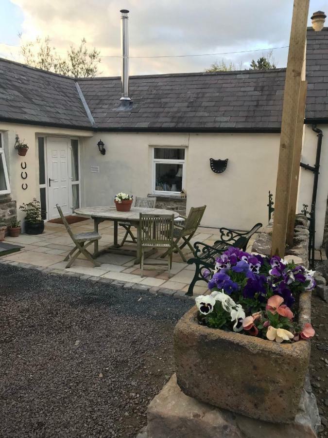 Tracey'S Farmhouse Cottage Belfast Exteriér fotografie